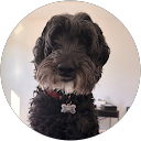 C Kilker profile picture